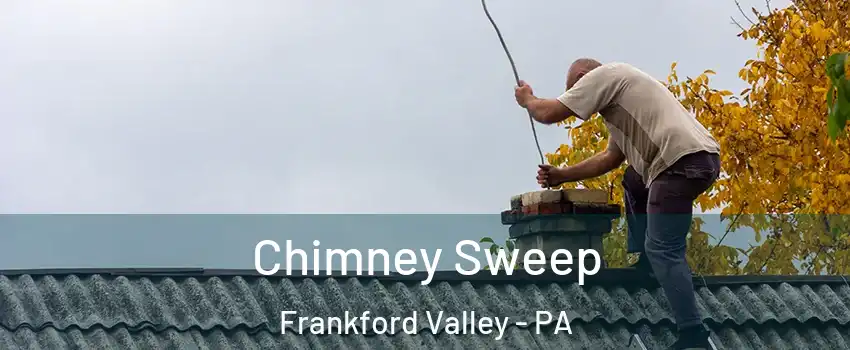 Chimney Sweep Frankford Valley - PA