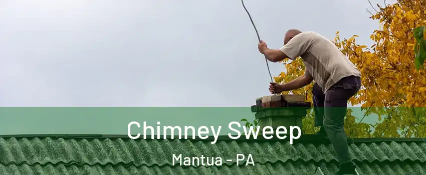 Chimney Sweep Mantua - PA