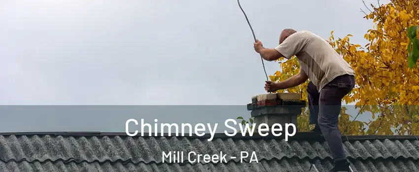 Chimney Sweep Mill Creek - PA