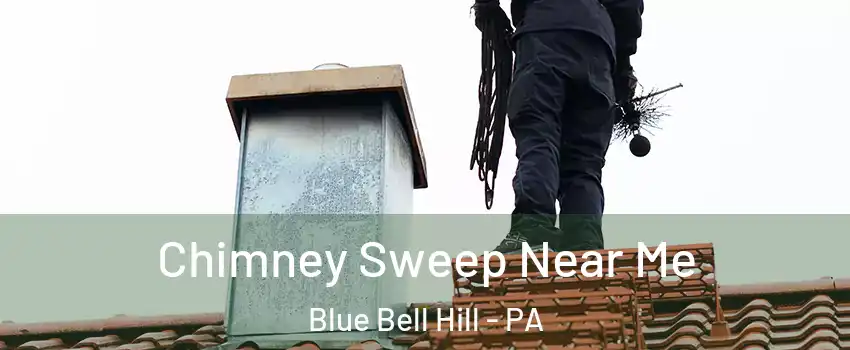 Chimney Sweep Near Me Blue Bell Hill - PA