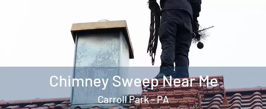 Chimney Sweep Near Me Carroll Park - PA