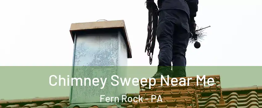 Chimney Sweep Near Me Fern Rock - PA
