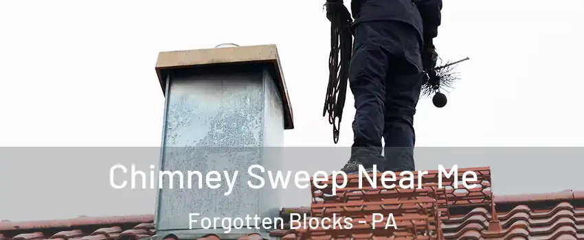 Chimney Sweep Near Me Forgotten Blocks - PA