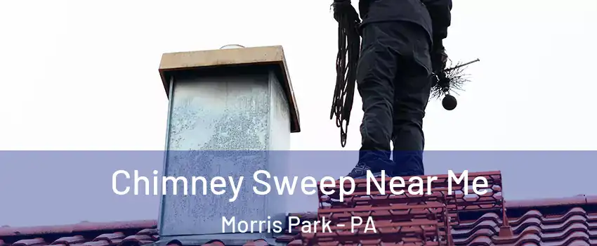 Chimney Sweep Near Me Morris Park - PA