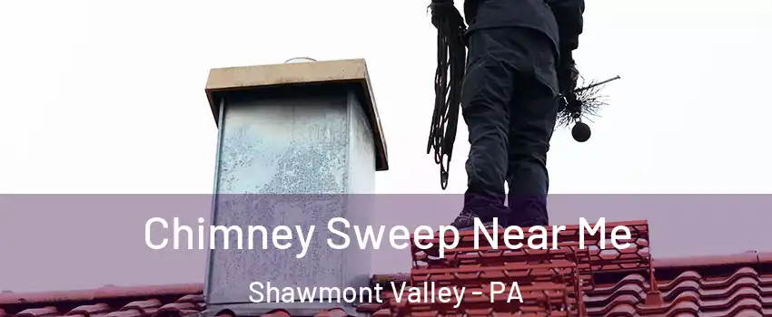 Chimney Sweep Near Me Shawmont Valley - PA
