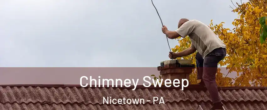 Chimney Sweep Nicetown - PA
