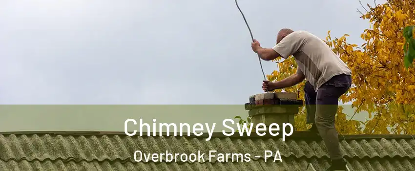 Chimney Sweep Overbrook Farms - PA