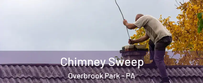 Chimney Sweep Overbrook Park - PA