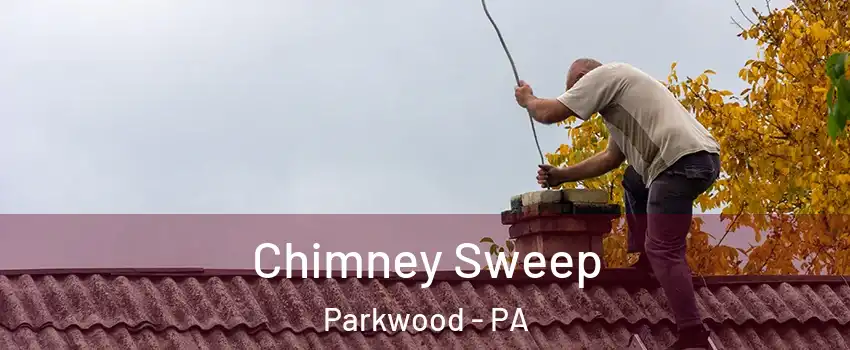 Chimney Sweep Parkwood - PA