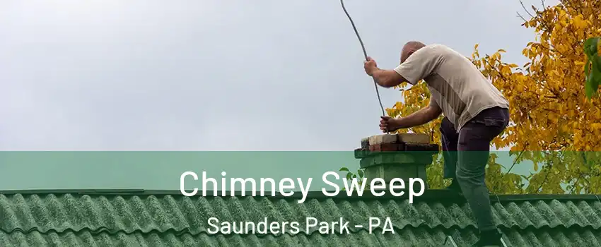 Chimney Sweep Saunders Park - PA