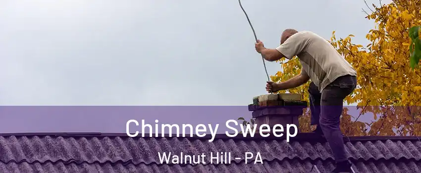 Chimney Sweep Walnut Hill - PA