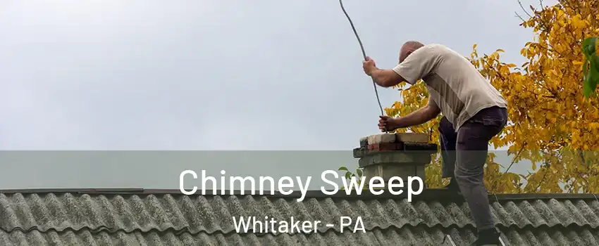 Chimney Sweep Whitaker - PA