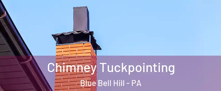 Chimney Tuckpointing Blue Bell Hill - PA