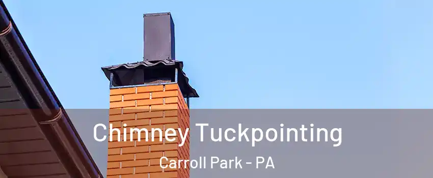 Chimney Tuckpointing Carroll Park - PA