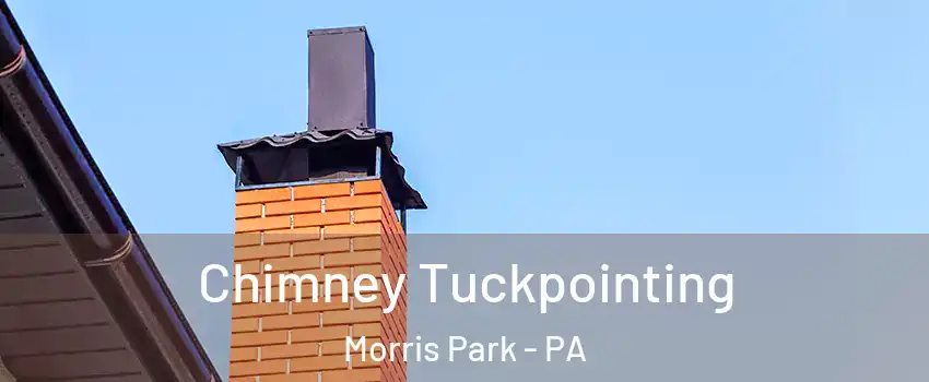 Chimney Tuckpointing Morris Park - PA
