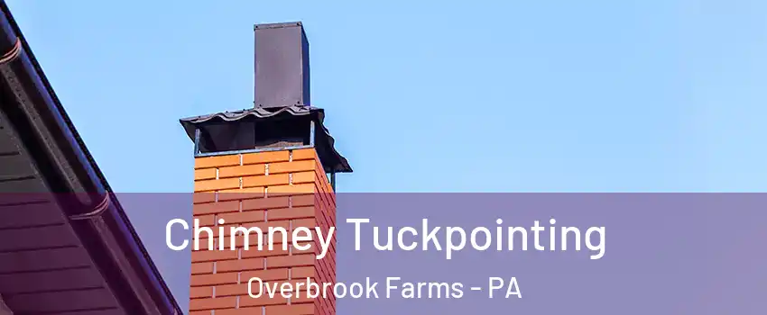 Chimney Tuckpointing Overbrook Farms - PA