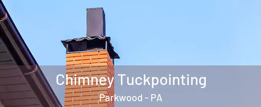 Chimney Tuckpointing Parkwood - PA