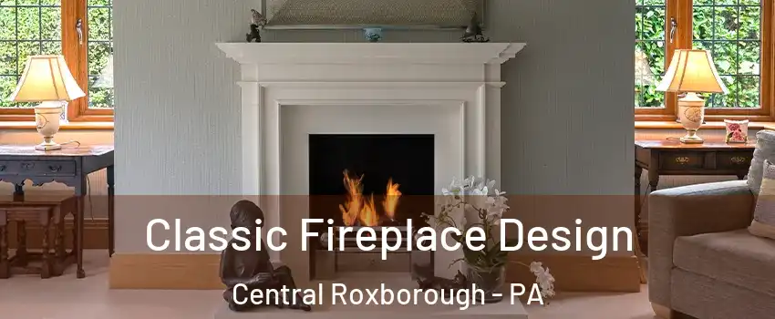 Classic Fireplace Design Central Roxborough - PA