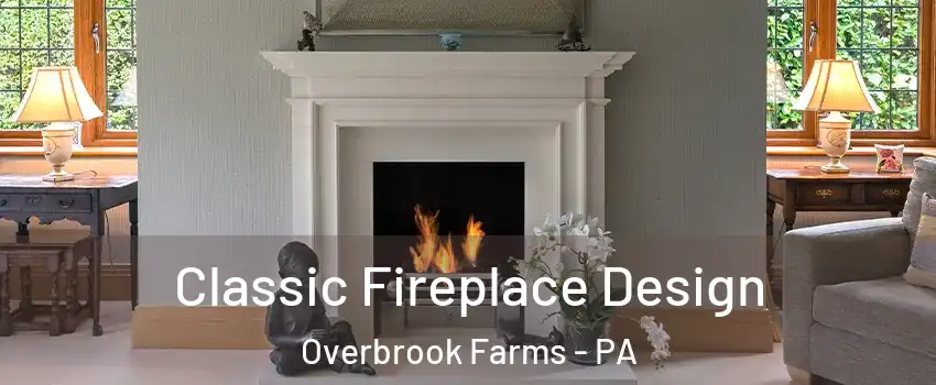 Classic Fireplace Design Overbrook Farms - PA