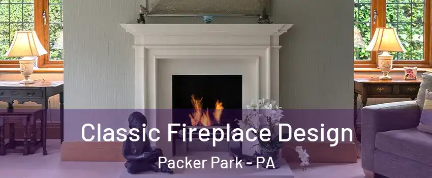 Classic Fireplace Design Packer Park - PA