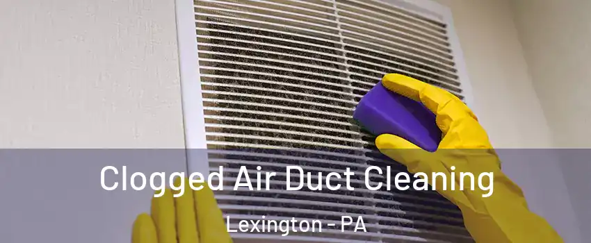 Clogged Air Duct Cleaning Lexington - PA