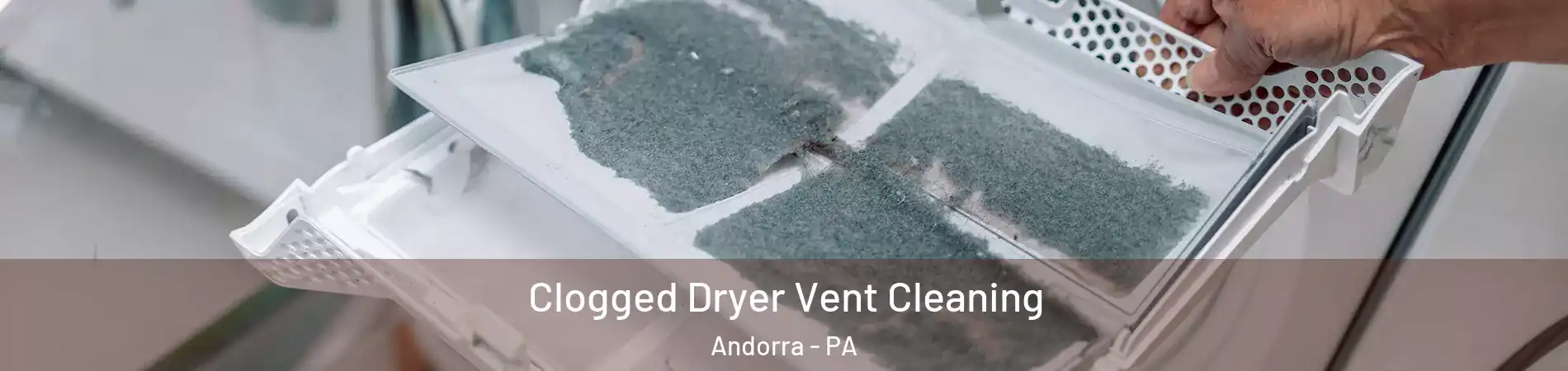 Clogged Dryer Vent Cleaning Andorra - PA
