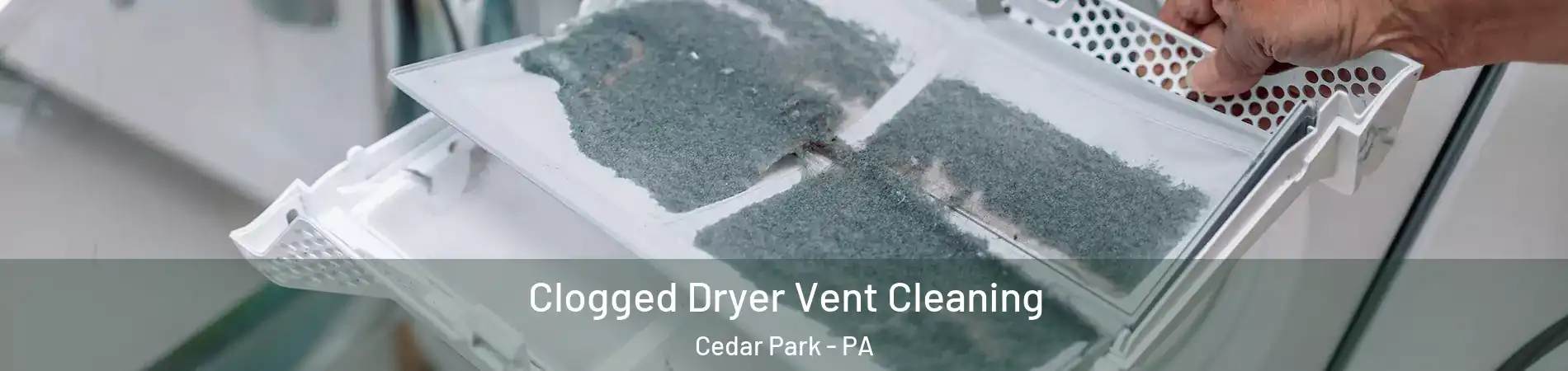 Clogged Dryer Vent Cleaning Cedar Park - PA