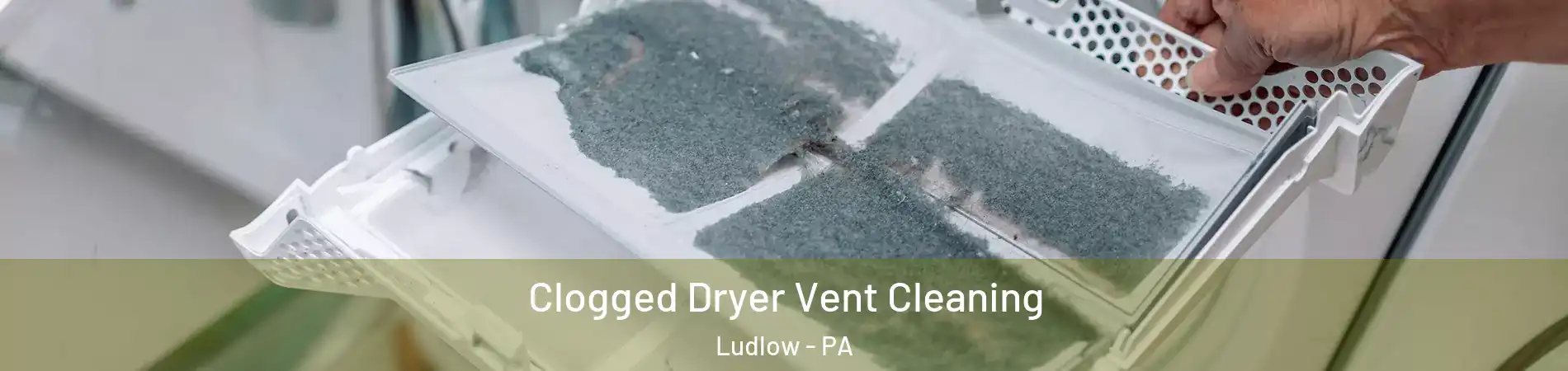 Clogged Dryer Vent Cleaning Ludlow - PA