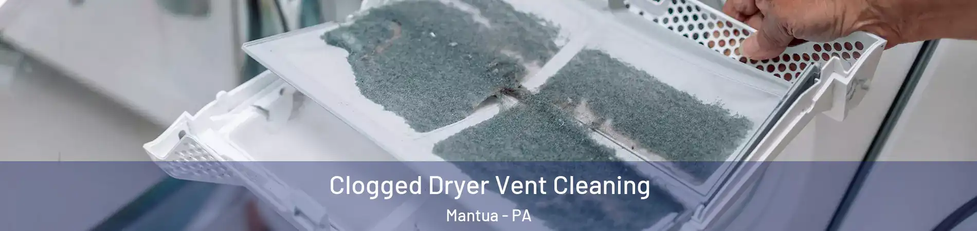 Clogged Dryer Vent Cleaning Mantua - PA