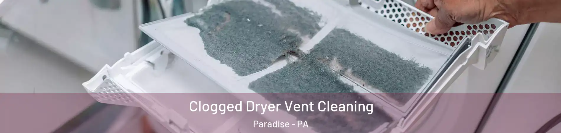 Clogged Dryer Vent Cleaning Paradise - PA