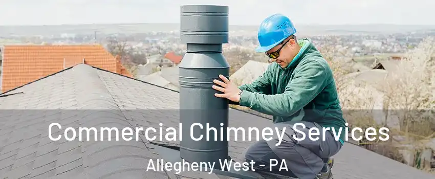 Commercial Chimney Services Allegheny West - PA