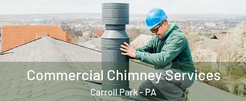 Commercial Chimney Services Carroll Park - PA