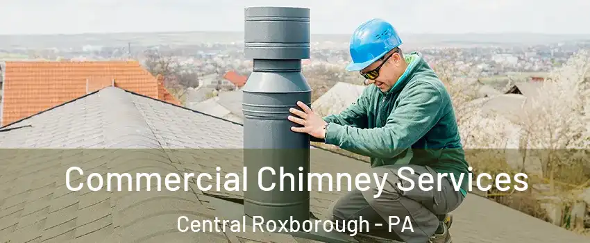Commercial Chimney Services Central Roxborough - PA