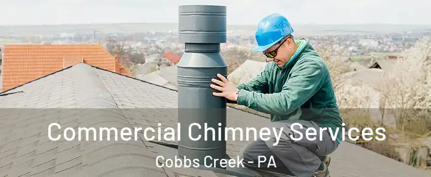 Commercial Chimney Services Cobbs Creek - PA