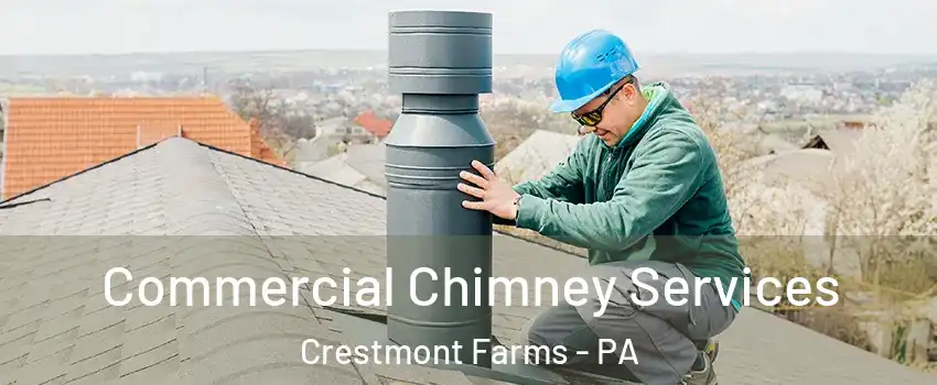 Commercial Chimney Services Crestmont Farms - PA