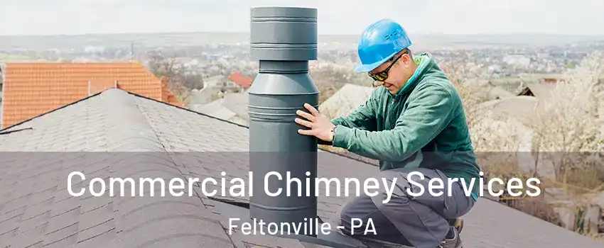Commercial Chimney Services Feltonville - PA