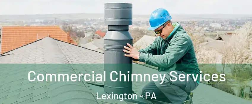 Commercial Chimney Services Lexington - PA