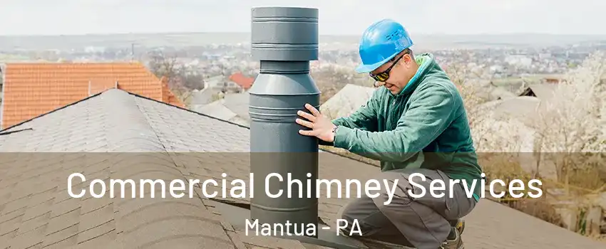 Commercial Chimney Services Mantua - PA
