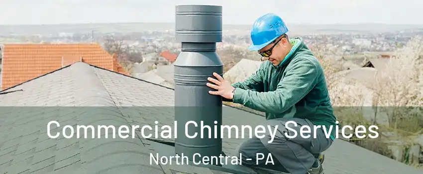 Commercial Chimney Services North Central - PA