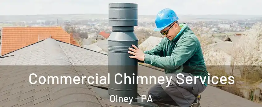 Commercial Chimney Services Olney - PA