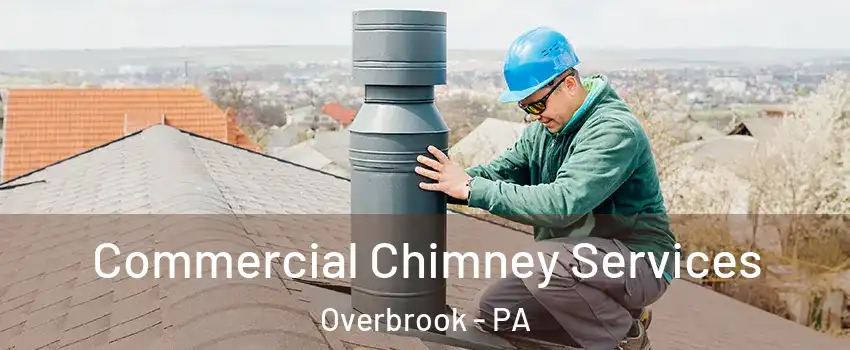Commercial Chimney Services Overbrook - PA