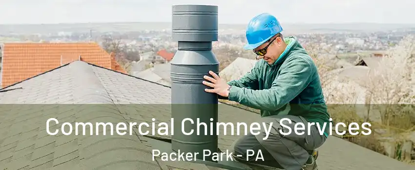 Commercial Chimney Services Packer Park - PA
