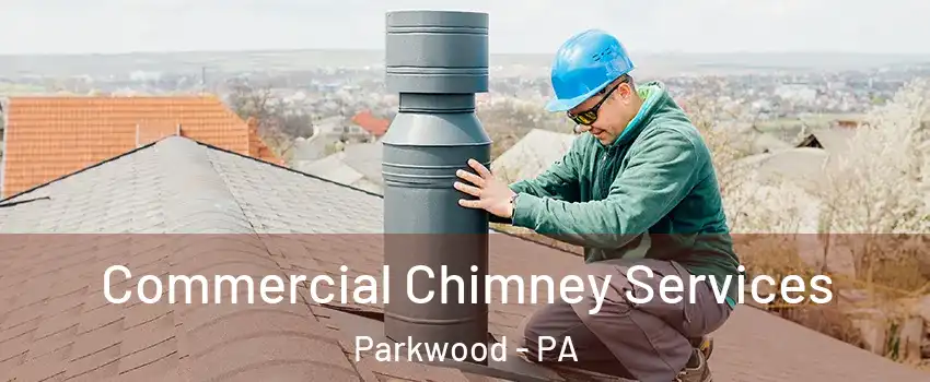 Commercial Chimney Services Parkwood - PA