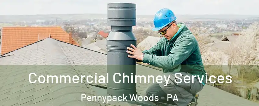 Commercial Chimney Services Pennypack Woods - PA