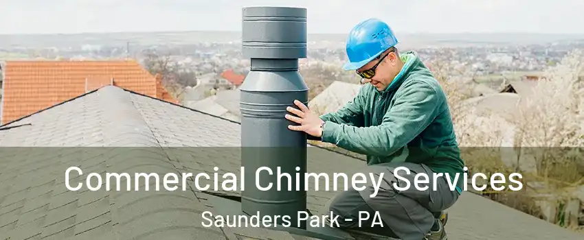 Commercial Chimney Services Saunders Park - PA