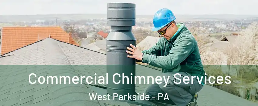 Commercial Chimney Services West Parkside - PA