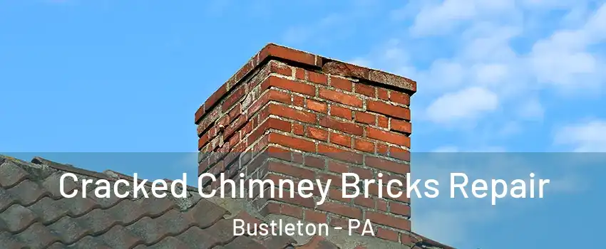 Cracked Chimney Bricks Repair Bustleton - PA