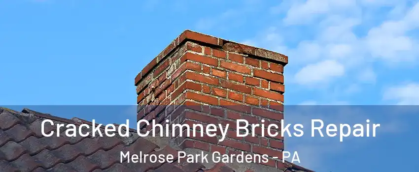 Cracked Chimney Bricks Repair Melrose Park Gardens - PA