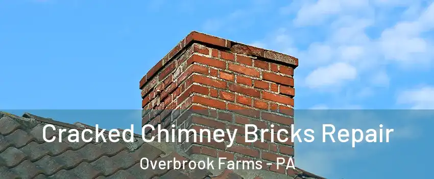 Cracked Chimney Bricks Repair Overbrook Farms - PA