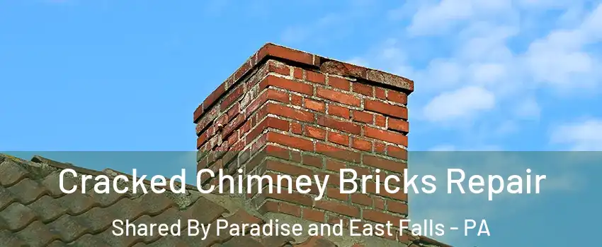 Cracked Chimney Bricks Repair Shared By Paradise and East Falls - PA